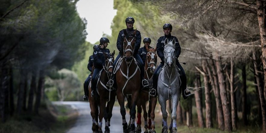 Tarihi Yarımada atlı birliklere emanet