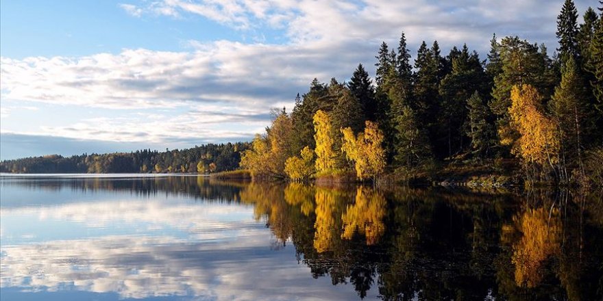 AB'nin yüzde 43'ü ormanlık alandan oluşuyor