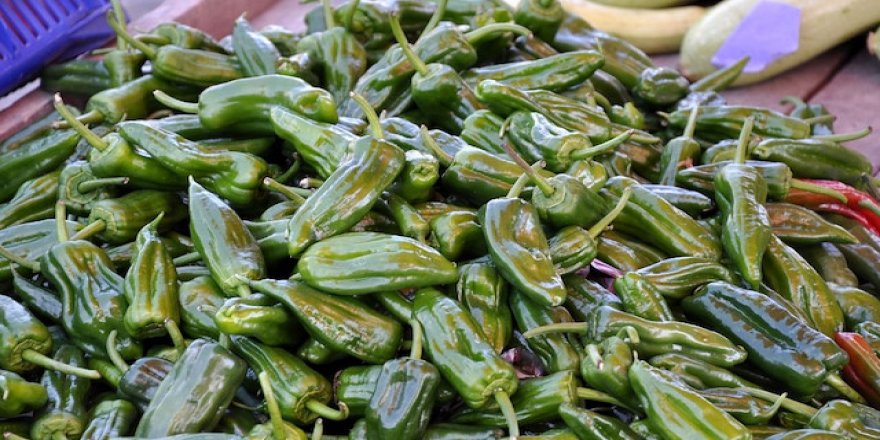 Biberin fiyatı cep yakıyor