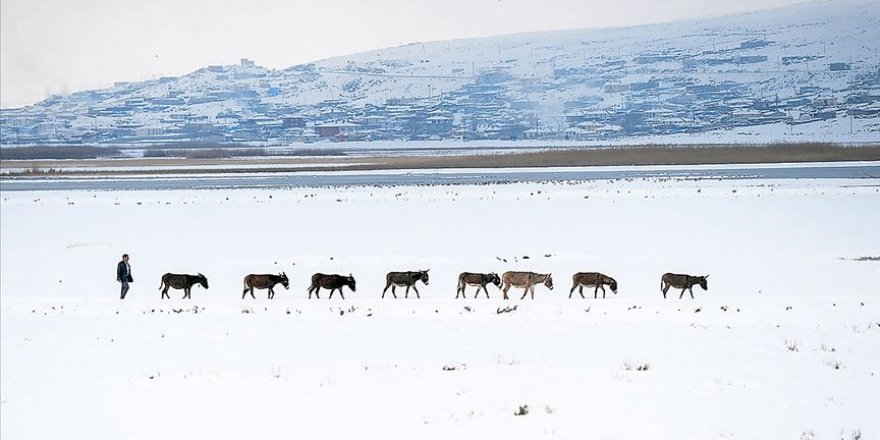 Mart karı ile Doğu'ya yeniden gelinlik giydirildi