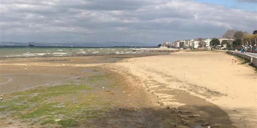 Yalova’da vatandaşları endişelendiren görüntü