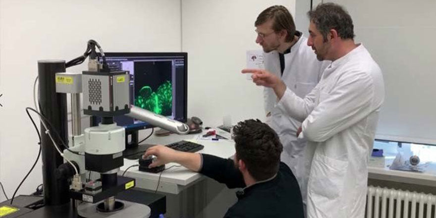 Organ naklinde Dr. Ali devrimi