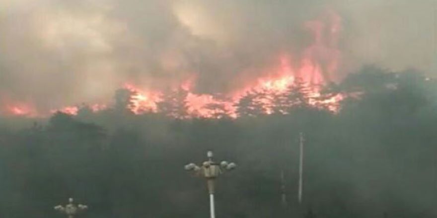 Ege'de 4 ilçede orman yangını