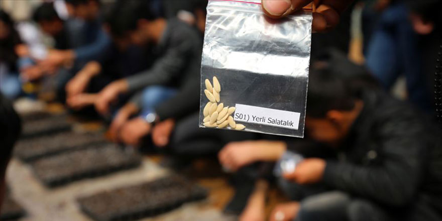 Yerli tohum ve isimlerle dünya devleri ile yarışıyoruz