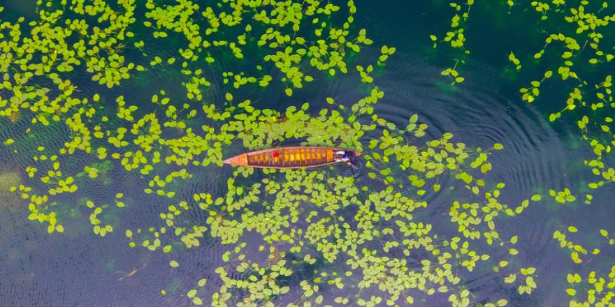 Kuş cenneti Gölbaşı turizme kazandırılacak