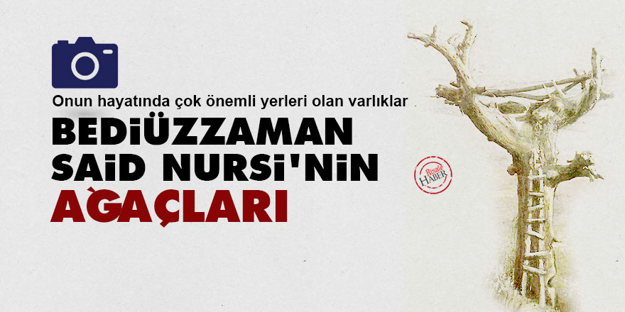 Bediüzzaman Said Nursi'nin 'Ağaçları'