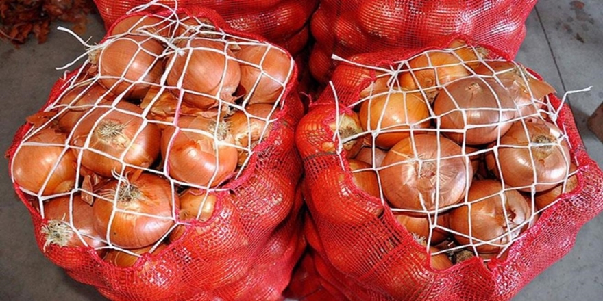 'Nisan sonunda soğan fiyatının 1-1,5 lira olması bekleniyor'