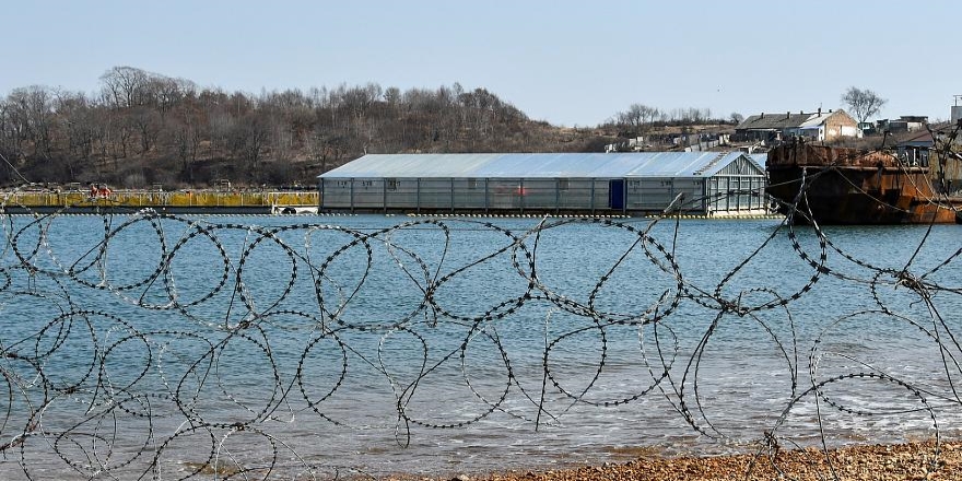 Kaptan Cousteau'nun oğlu 'hapisteki' 100 balinayı kurtardı