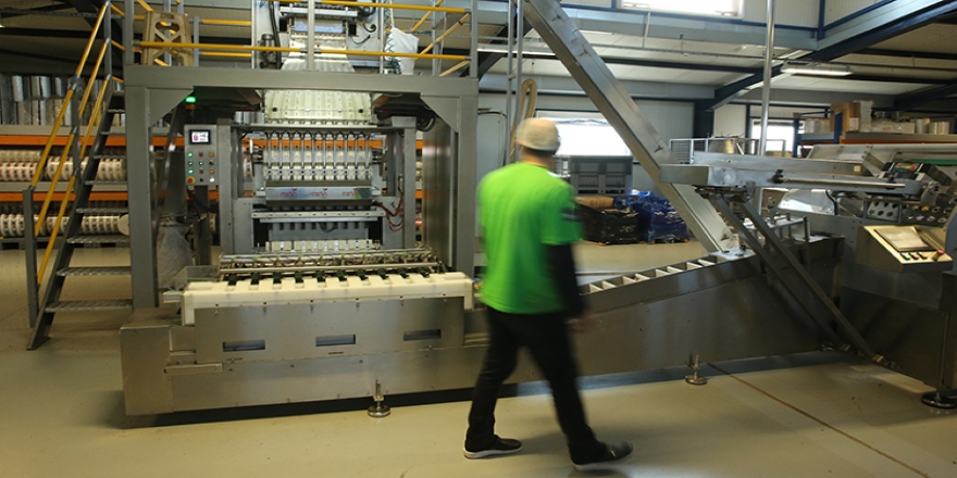 Sanayi kentinden 22 ülkeye 'çubuk çay' ihracatı