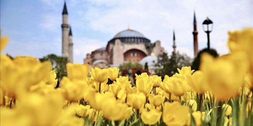 Ayasofya Cami ve laleler