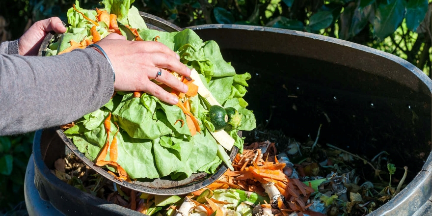 Türkiye'de 18 milyon ton sebze ve meyve çöpe atılıyor