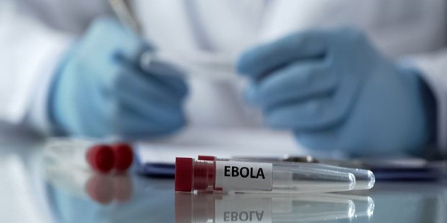 WHO ikinci Ebola salgınının sona erdiğini duyurdu