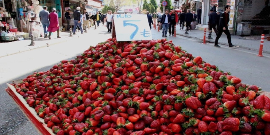 Çileğin kilosu 5 TL'ye kadar düştü