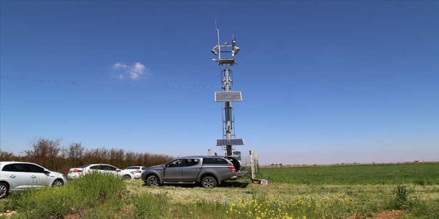 GAP'ta teknoloji destekli tarım dönemi