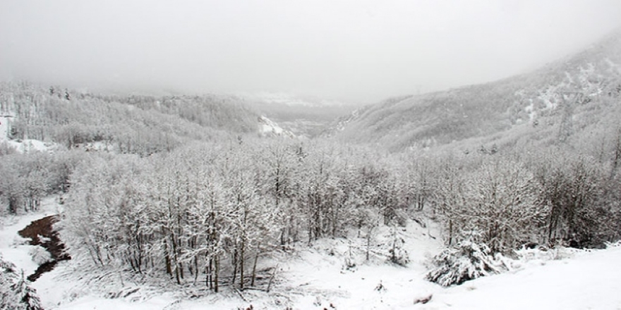 Doğu Anadolu baharda da kış yaşıyor