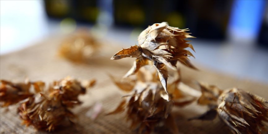 'Aspirin getirisi buğdayın 3 katı'