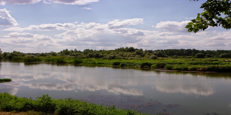 Midye kaçakçıları Yunan askeri ateş açtı deyip şikayette bulundu