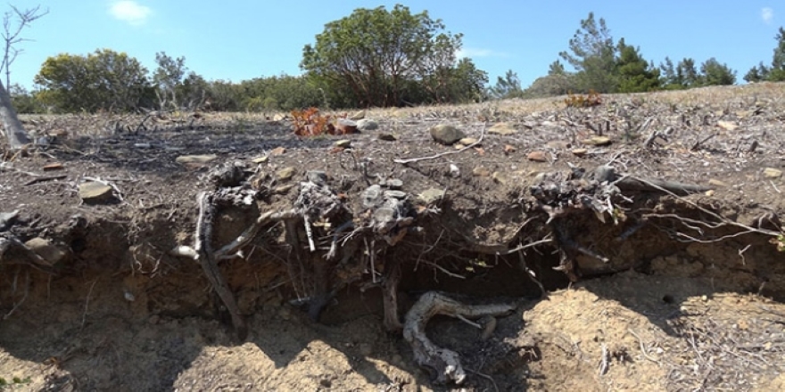 104 yıl sonra ortaya çıkarılan Anzak siperleri