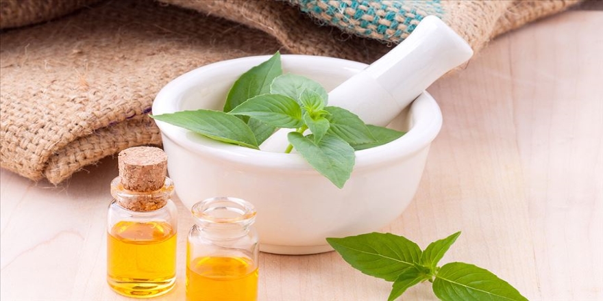 Tıbbi Aromatik Bitki Yetiştiriciliği Projesi hayata geçiriliyor