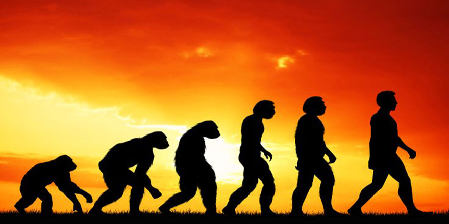 Bir Müslüman evrimci olabilir mi?