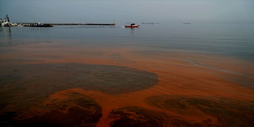 Marmara Denizi'nin rengi değişti