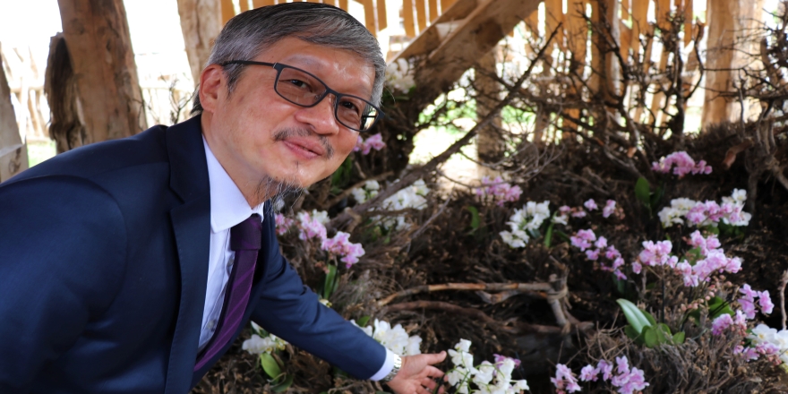 Tayvan orkideleri Burdur'da