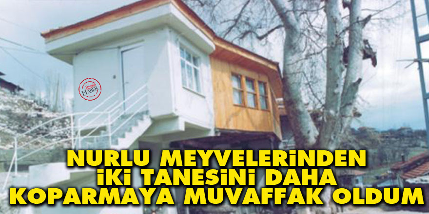 Nurlu meyvelerden iki tanesini daha koparmaya muvaffak oldum