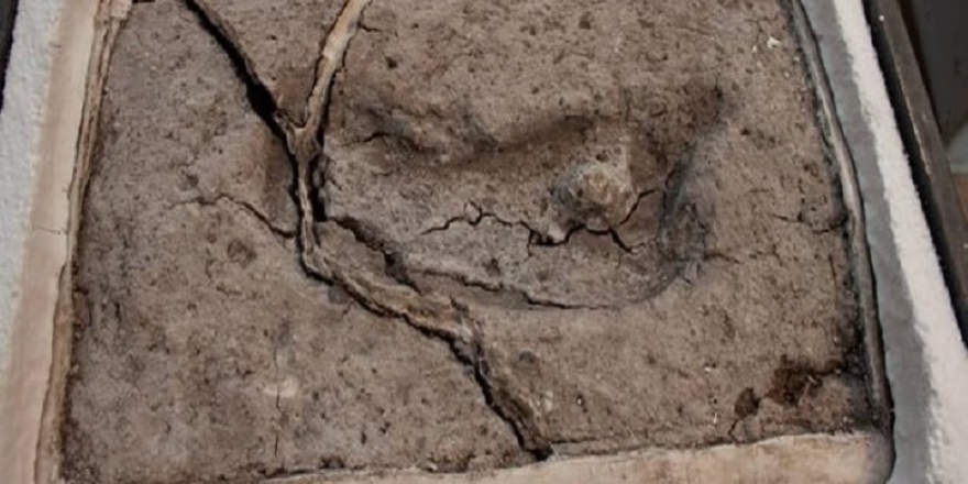 Amerika kıtasındaki en eski ayak izinin Şili'de olduğu kanıtlandı