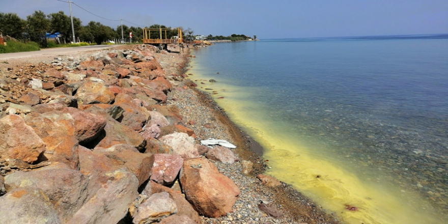 Ayvacık sahilinde denizin rengi değişti
