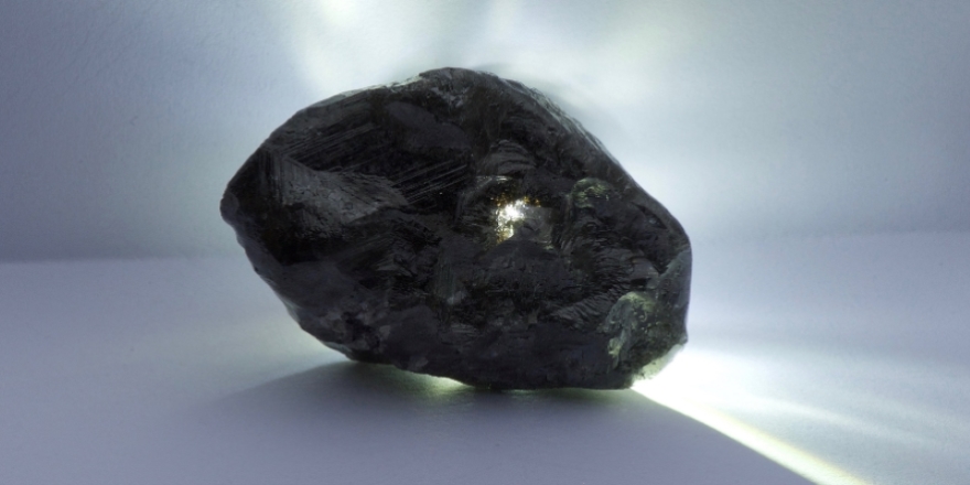 Dünyanın en büyük 2'nci elması bulundu