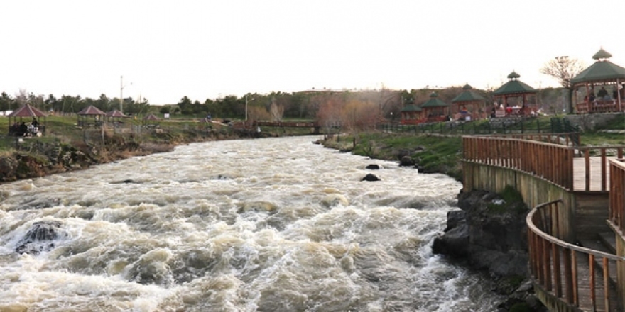 Vatandaşları "balıkların göçü" heyecanı sardı