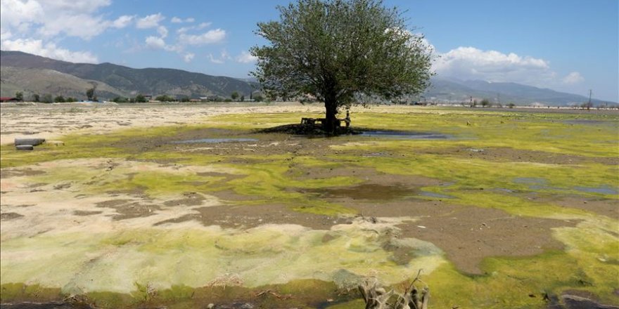 Göle dönen Amik Ovası'ndaki su seviyesi azaldı