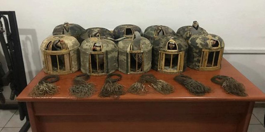 Kaçak keklik avlayanlara 16 bin 756 lira ceza