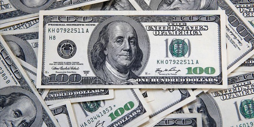 SETA'dan 'dolar' raporu