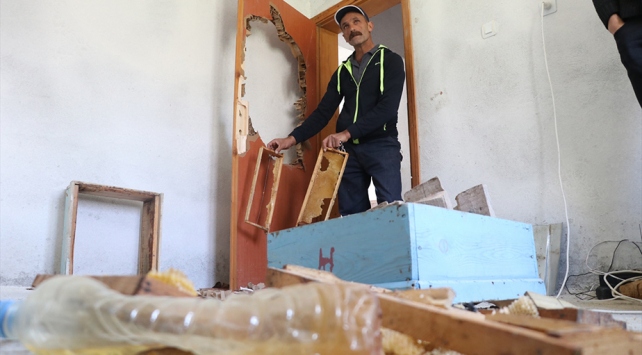 Yiyecek arayan ayılar evlere zarar verdi