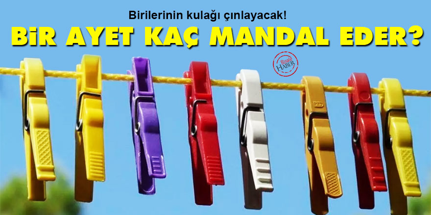 Bir ayet kaç mandal eder?
