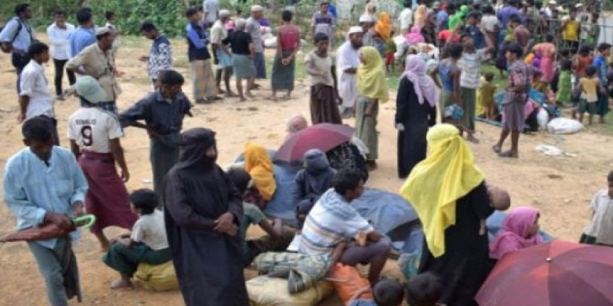 Arakanlı mülteciler insan tacirlerinin elinden kurtarıldı
