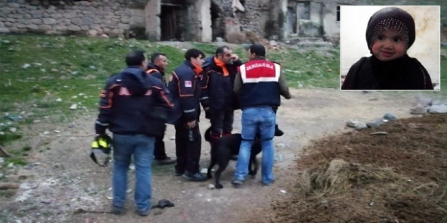Kars'ta kaybolan 3 yaşındaki çocuk aranıyor
