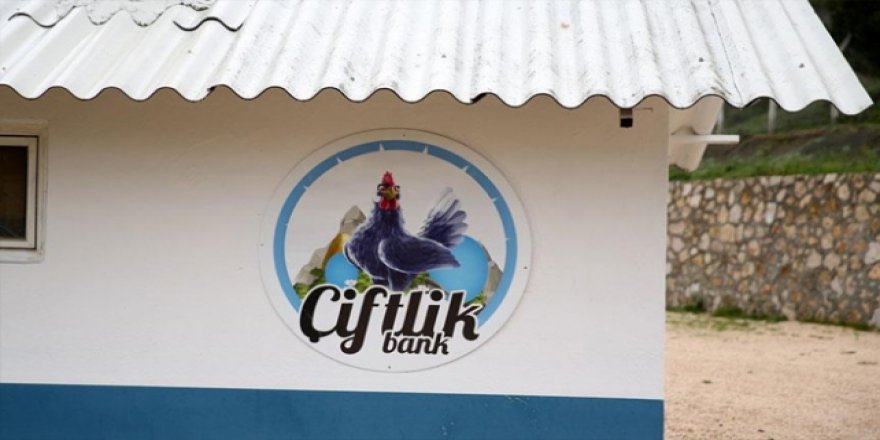 Çiftlik Bank davasında 9 tahliye kararı