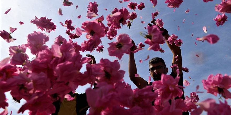 Isparta'daki festivale yerli ve yabancı ziyaretçi ilgisi yoğun