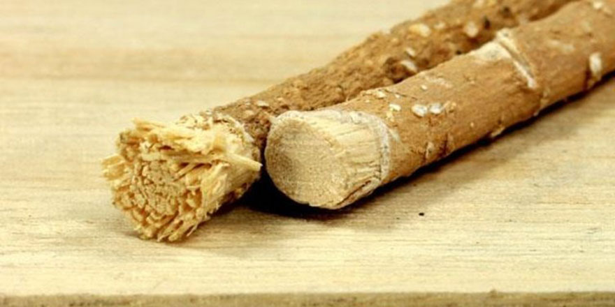 Oruçlu iken misvak kullanılır mı?