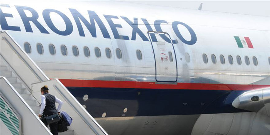 Uçağı bekleten Meksikalı bakan tepkiler üzerine istifa etti