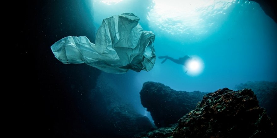 Plastik kirliliğine dikkat çekmek için 450 yıllık canlı yayın başlatıldı