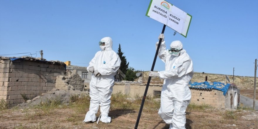 Adıyaman'da bir mezrada kuduz önlemi