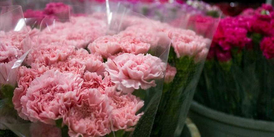 Kesme çiçek sektöründe yüzler gülüyor