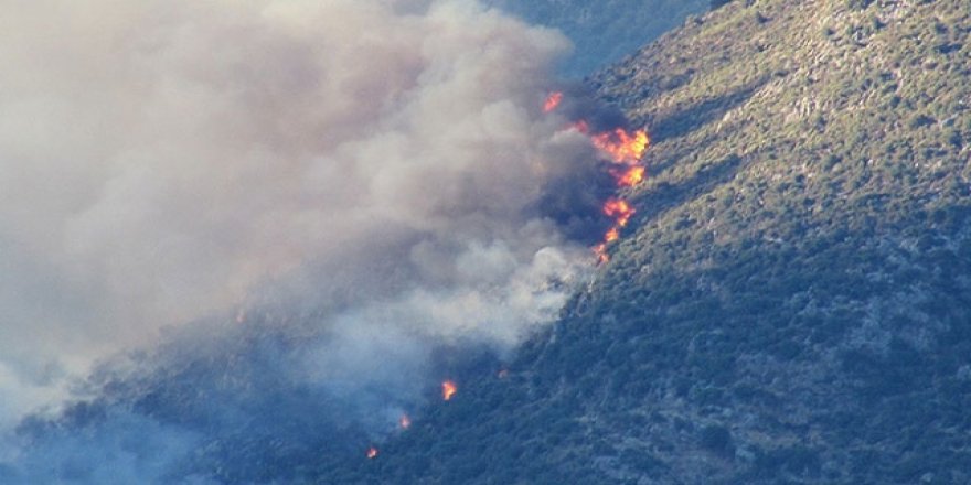 Antalya'da orman yangını