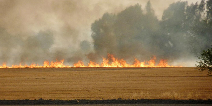 Anız yangını ormana sıçradı; 20 hektarlık alan zarar gördü
