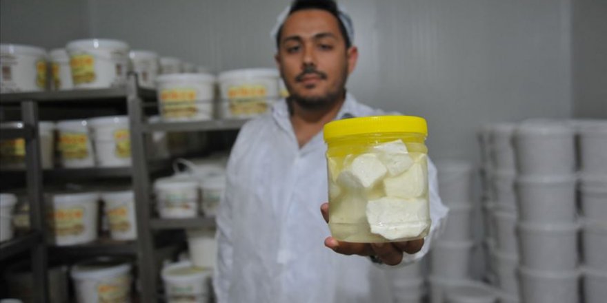 'Antep peyniri' sınırları aşıyor