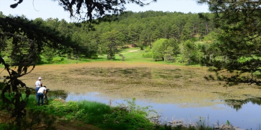 Murat Dağı'nın eteklerindeki göl keşfedilmeyi bekliyor