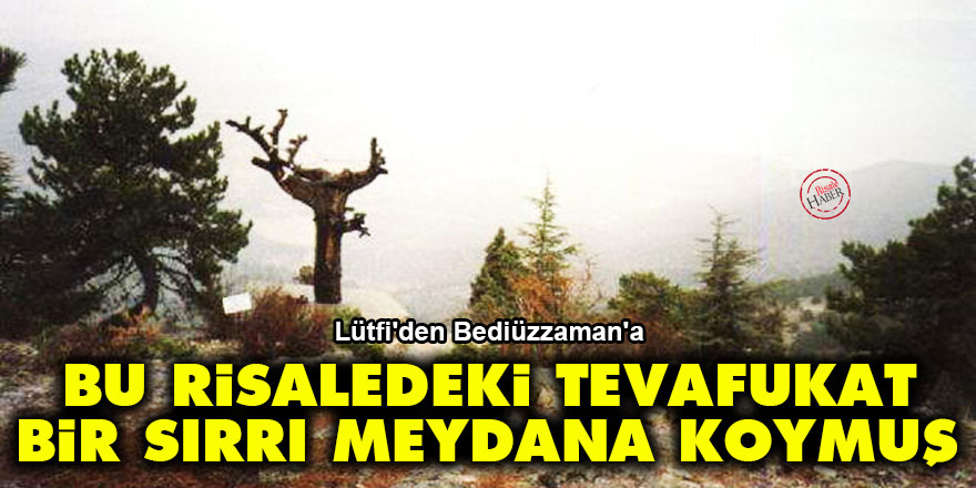 Lütfi'den Bediüzzaman'a: Bu risaledeki tevafukat bir sırrı meydana koymuş